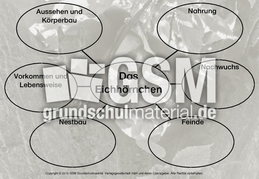 Mindmap-Eichhörnchen-E.pdf